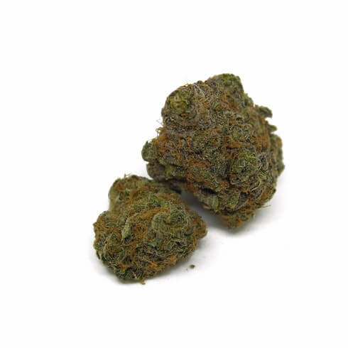 Green Crush Cannabis Strain