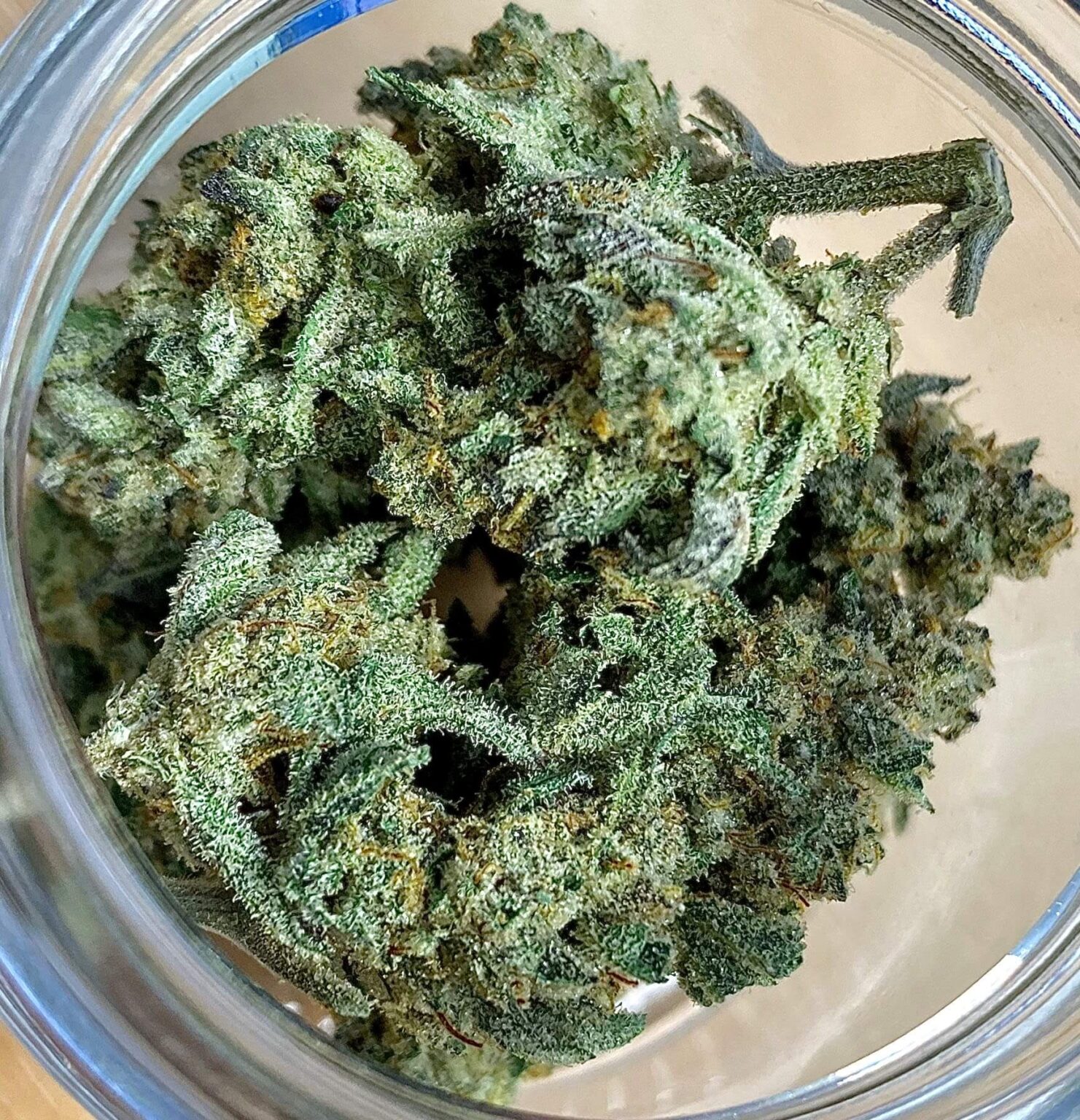 Jungle Cake Marijuana Strain Yield - Weed Xpress Dispensary UK